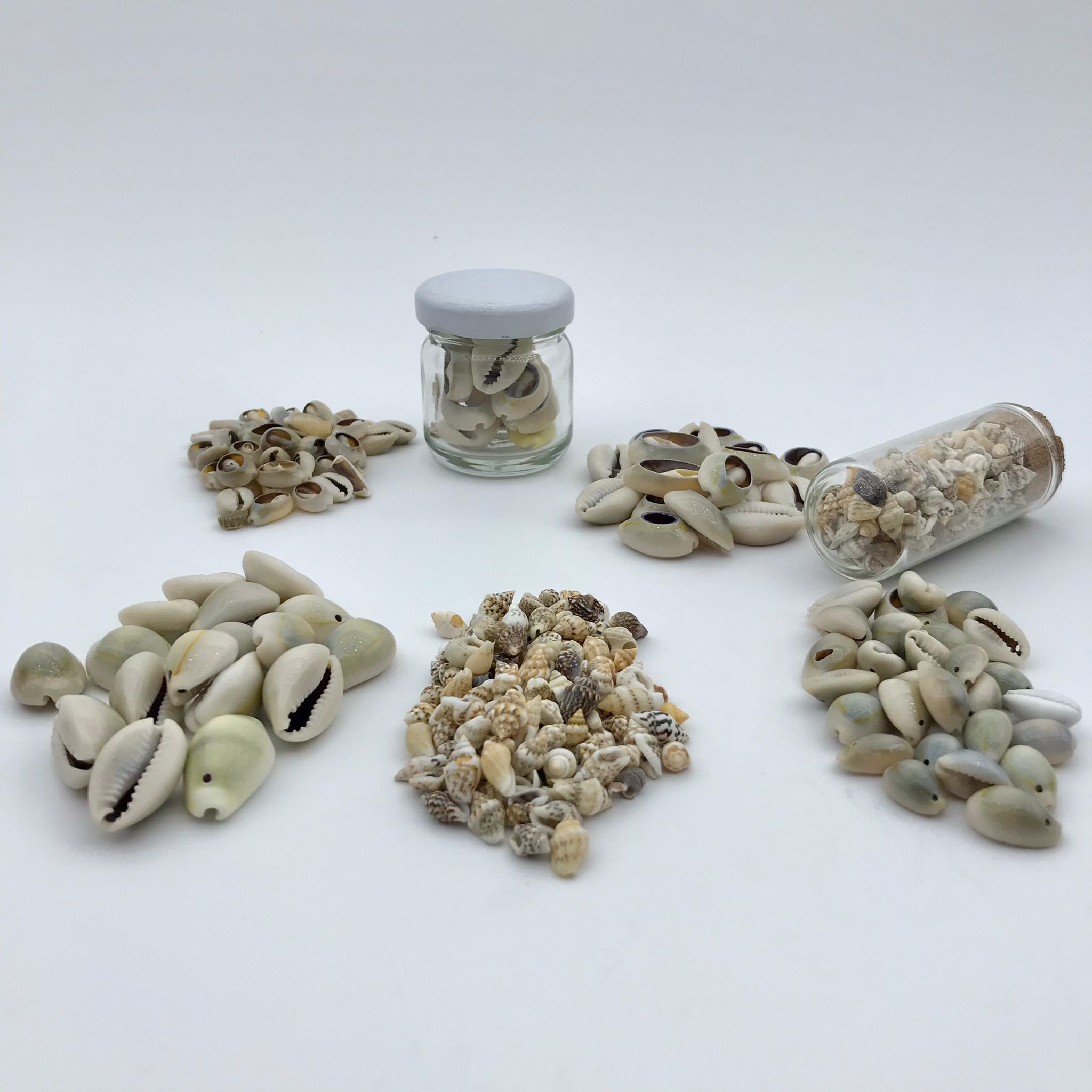 Tazı Boncuk (Deniz Kabuğu)