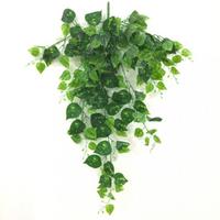 Sarmaşık saplı dallı